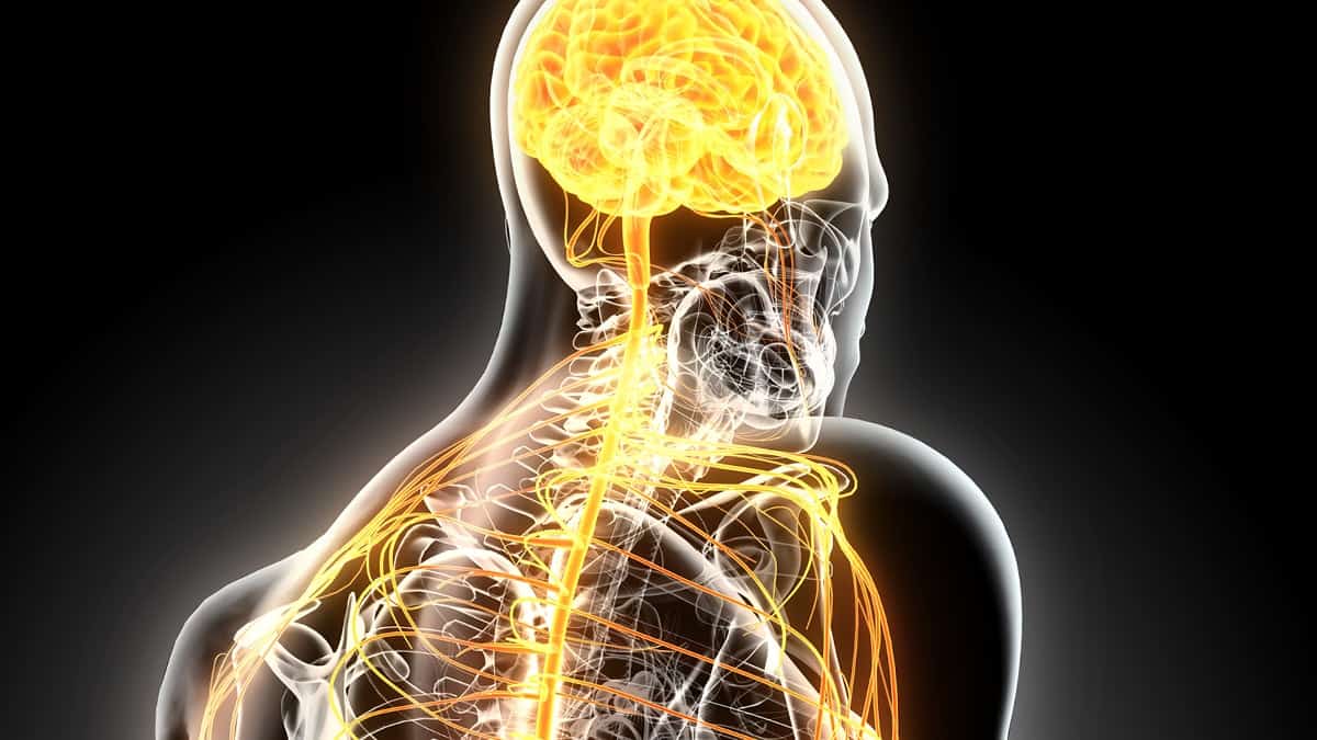 230403 Wdg Fibromyalgie 3